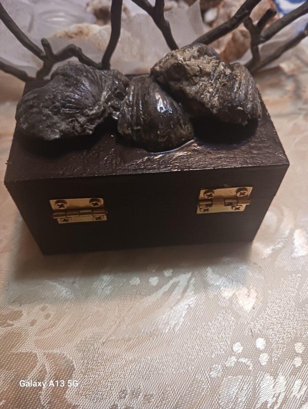 FOSSIL BOX - Picture 2 of 4